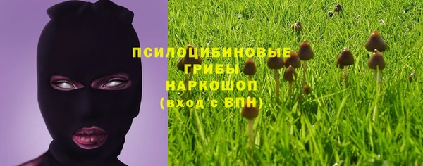 твердый Домодедово
