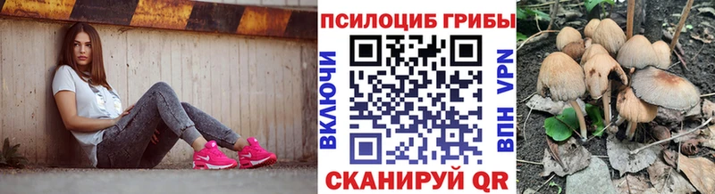 Псилоцибиновые грибы ЛСД  купить наркоту  Данилов 